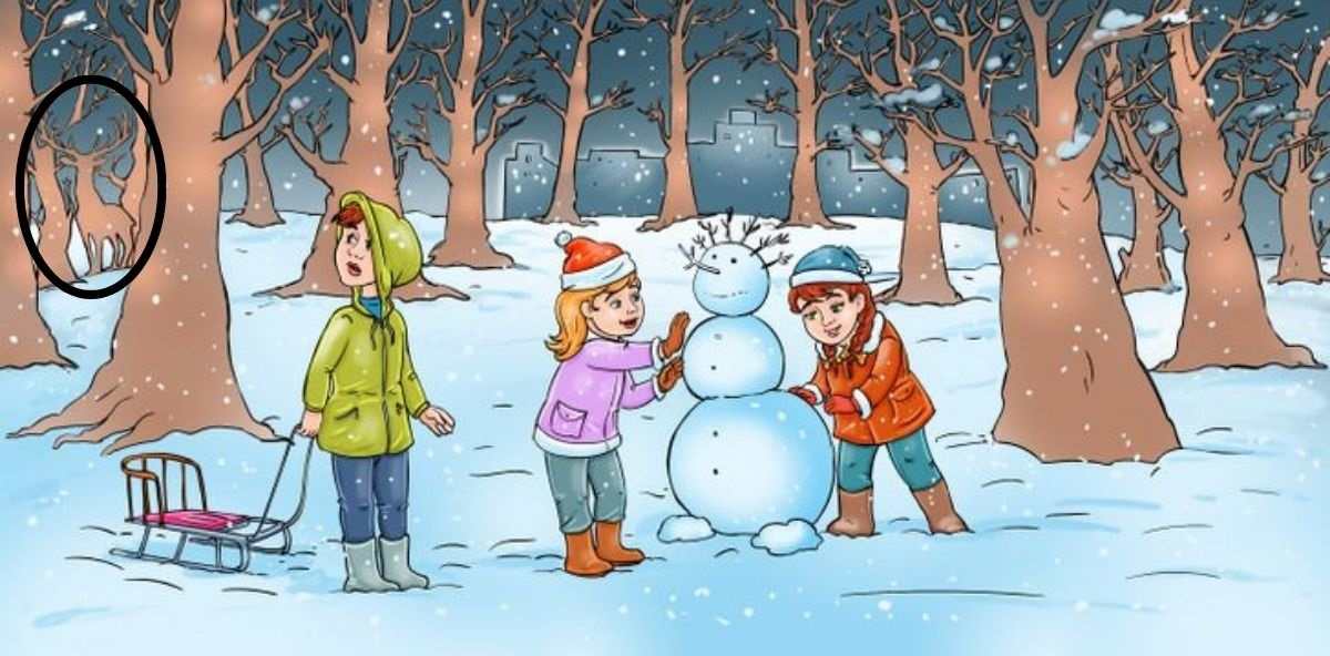 hidden animals optical illusions pictures with answers